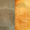 Donald Tile vs Darren Toast