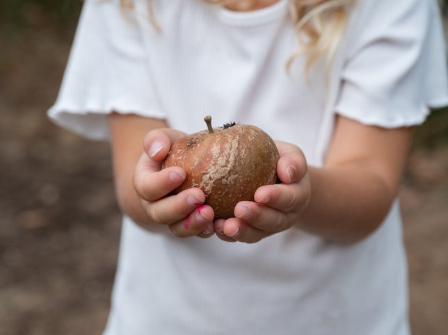 Toddler girl holding a rotten apple