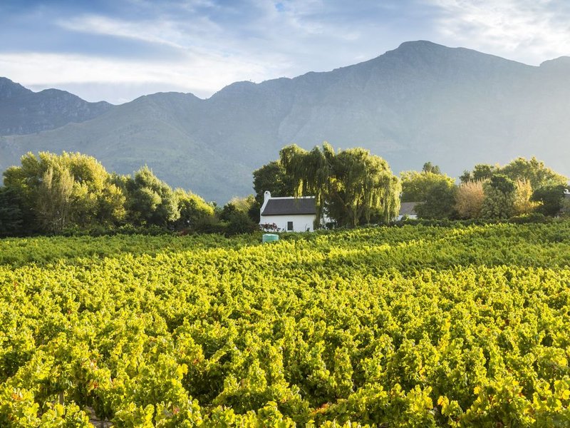 tour SA - cape winelands - mashable