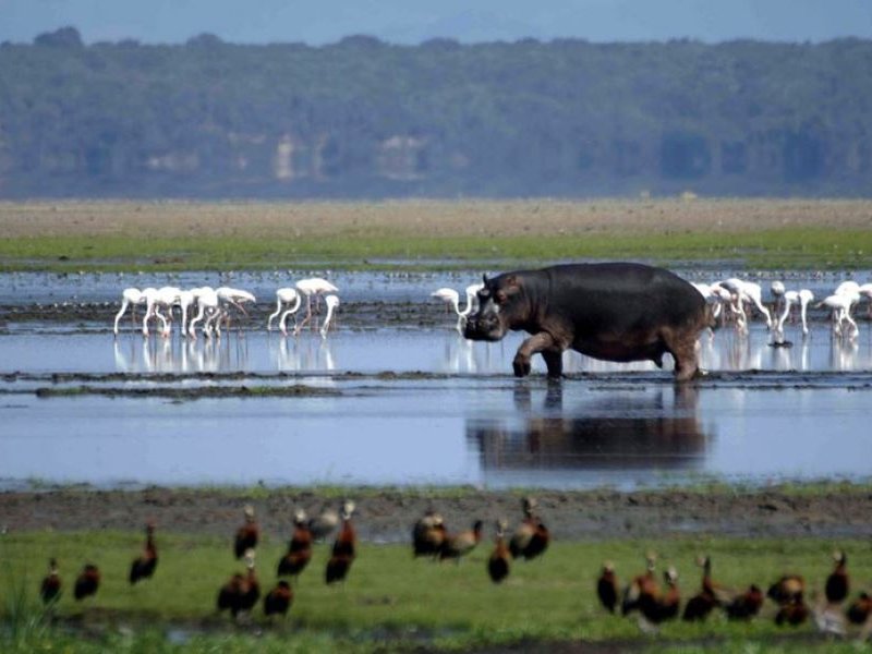 iSimangaliso Wetland Park