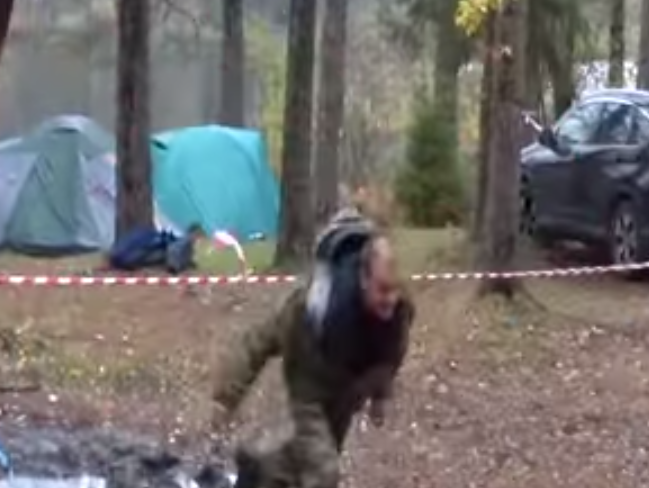 tree1.png