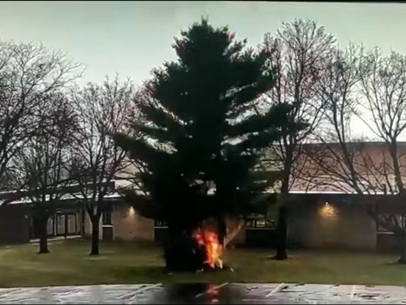 lighting tree