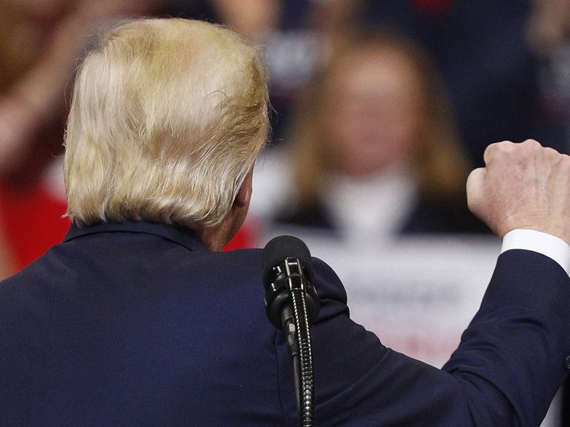 Trump back fist