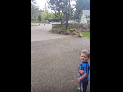 turkey-whisperer