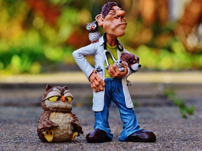 vet with owl
