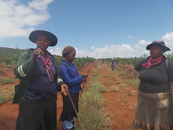 Drought in Vryheid 