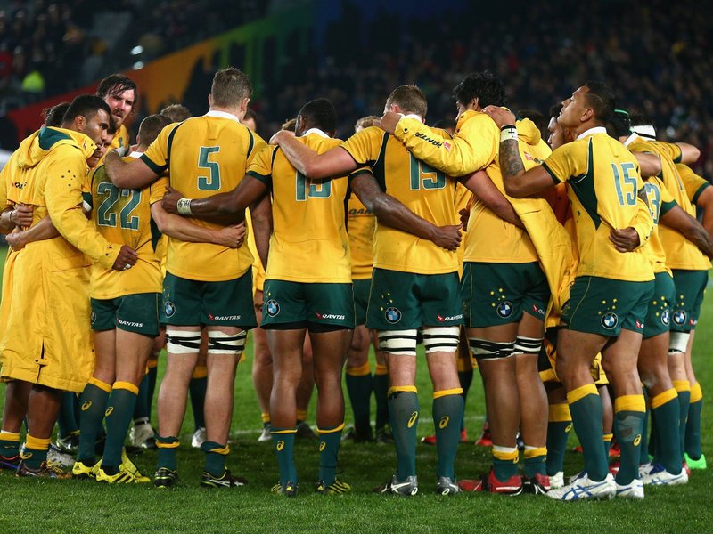 wallabies-facebook.jpg