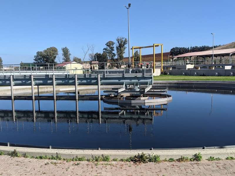 Delta variant detected in Western Cape wastewater