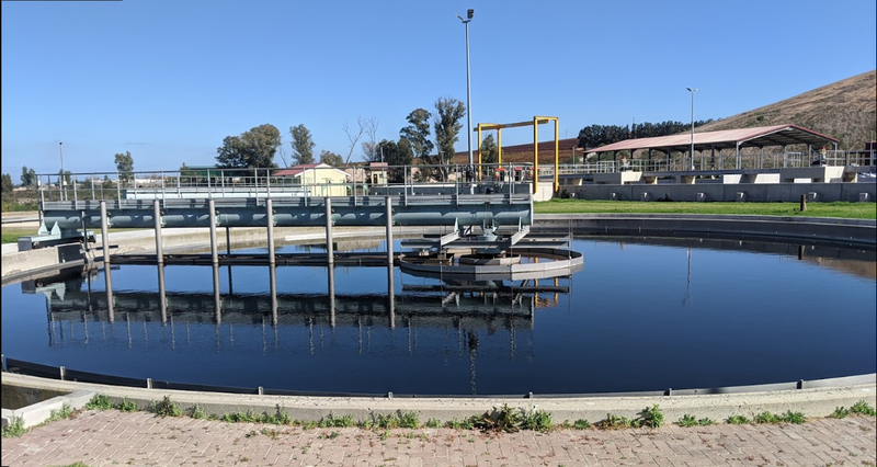 Delta variant detected in Western Cape wastewater