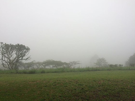 Rain - Supplied