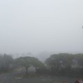 A thick fog covering in Durban