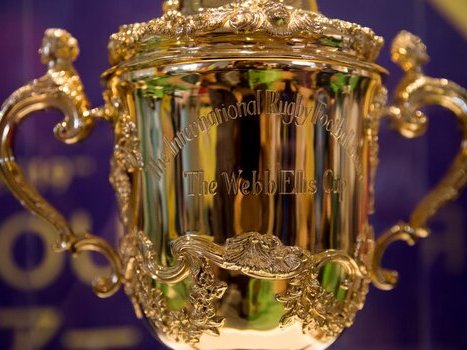 Rugby World Cup trophy, the Webb Ellis cup EDIT