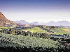 western cape farm_1.jpg