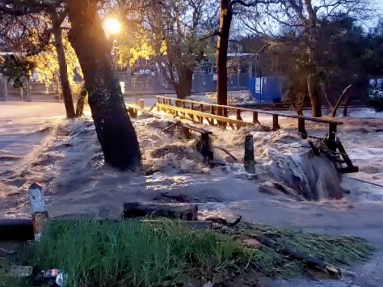 Western Cape flooding: How YOU can help