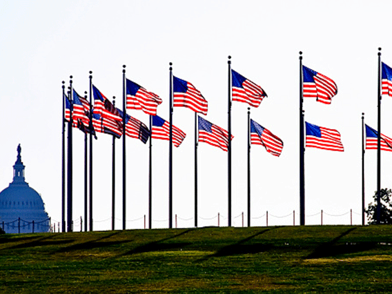 White House flags