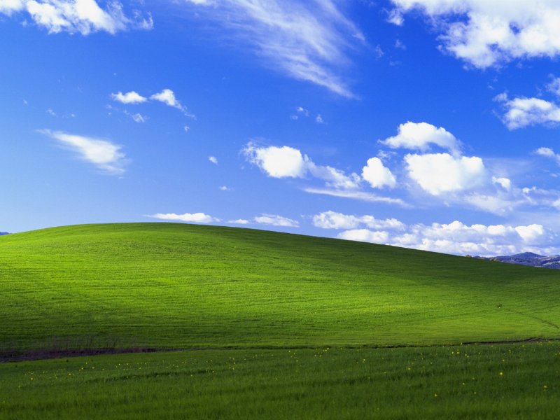 LOOK: How this iconic Windows background has changed
