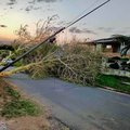 eThekwini Municipality has begun clearing roads after strong winds uprooted more than 20 trees