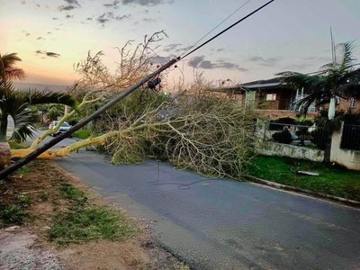 eThekwini clears roads and restores power after strong winds hit Durban