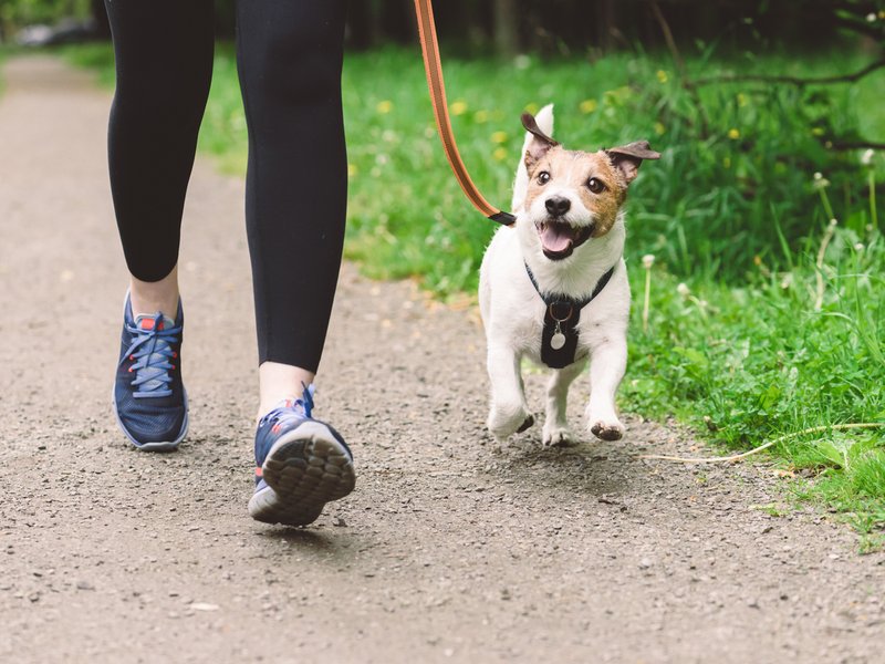 Woman walking with dog