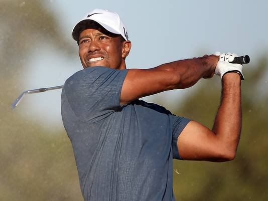 woods torrey pines.jpg
