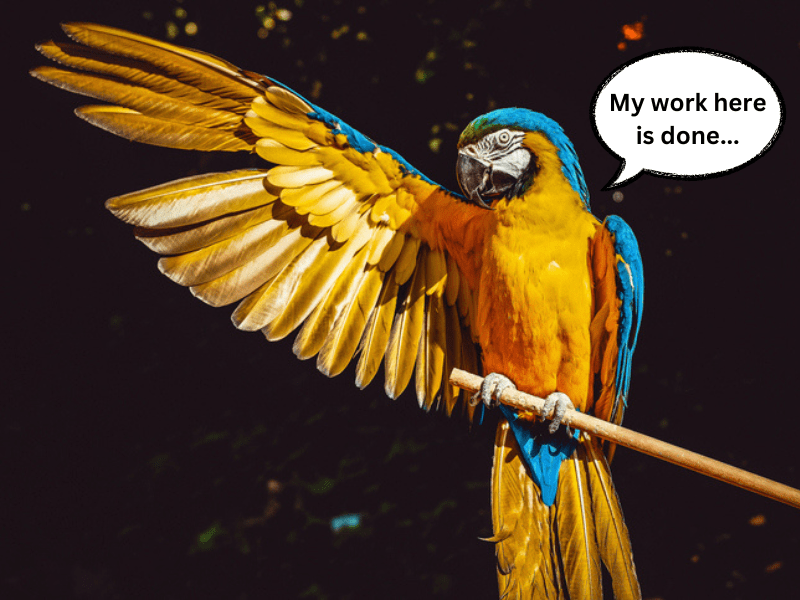 Yellow and blue parrot on a branch