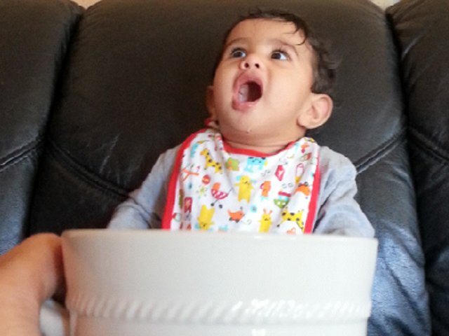 zach640X480.jpg