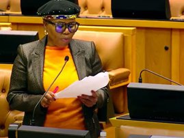 Lindiwe Zulu on Ag report