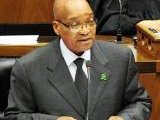 zuma_1.jpg