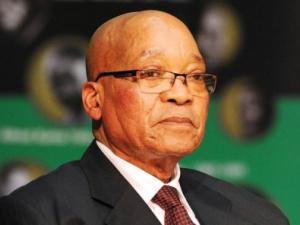 zuma_3.jpg