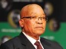zuma_48.jpg