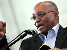 zuma_51.jpg