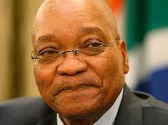 zuma_69.jpg