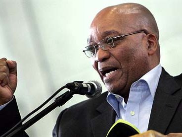 zuma_8.jpg