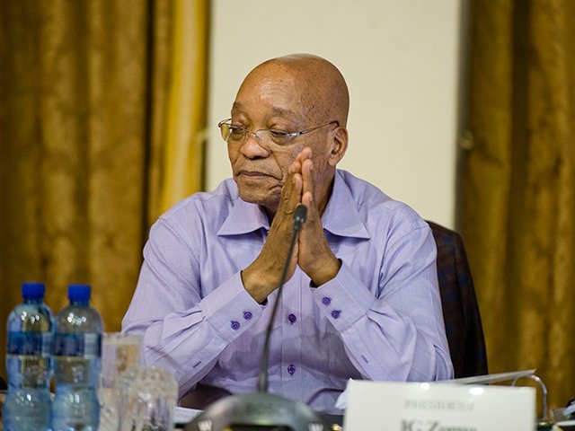 zuma-gallo